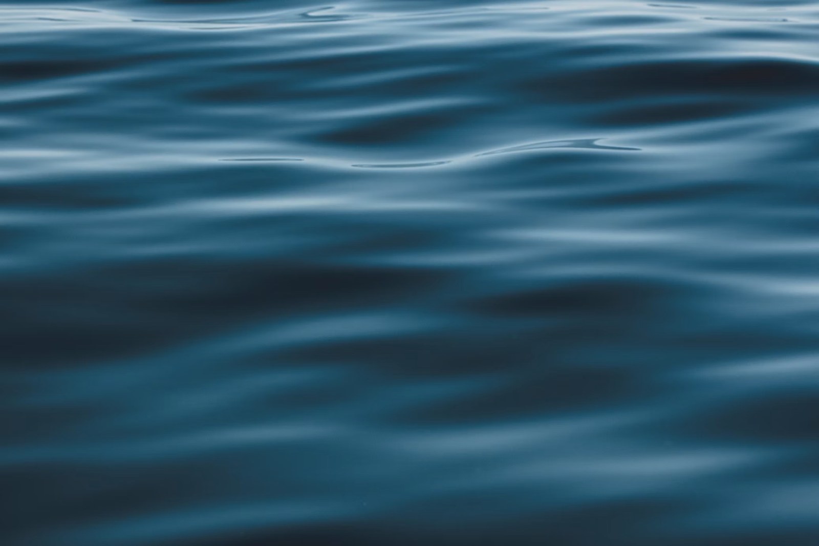 Open water, empty to the horizon